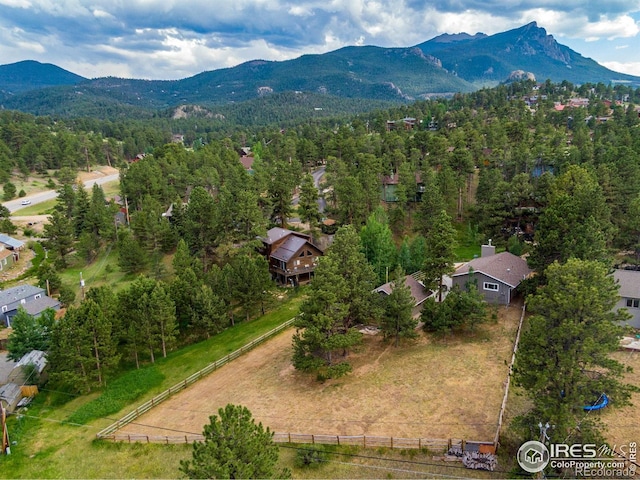 1021 Hide A Way Ln, Estes Park, CO 80517 - photo 12