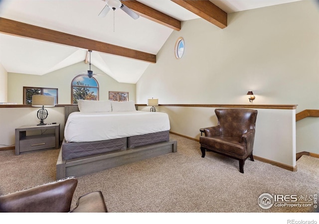 343 Overlook Ln, Estes Park, CO 80517 - photo 23