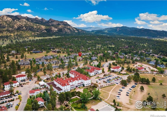 343 Overlook Ln, Estes Park, CO 80517 - photo 30