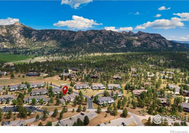 343 Overlook Ln, Estes Park, CO 80517 - photo 31