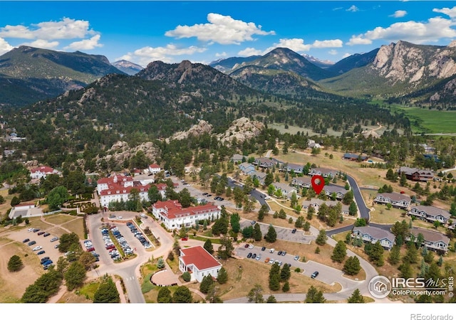 343 Overlook Ln, Estes Park, CO 80517 - photo 33