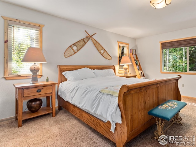 1035 Streamside Dr, Glen Haven, CO 80532 - photo 6