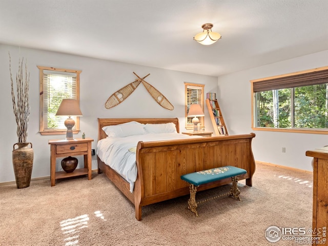 1035 Streamside Dr, Glen Haven, CO 80532 - photo 16