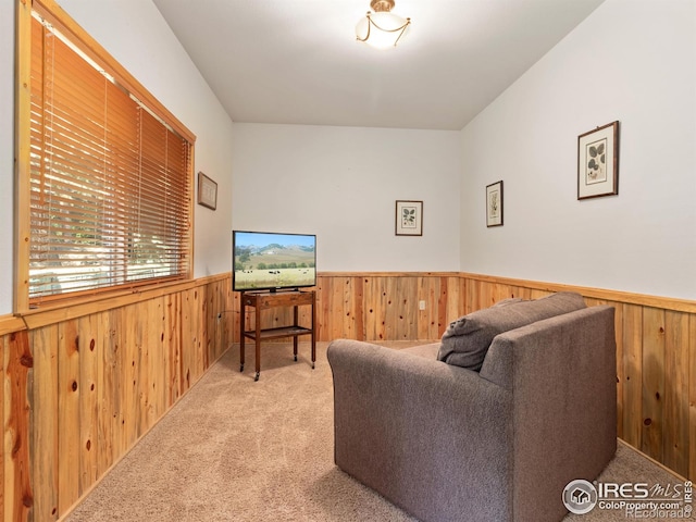1035 Streamside Dr, Glen Haven, CO 80532 - photo 24