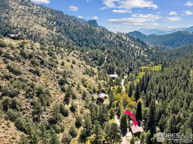 1035 Streamside Dr, Glen Haven, CO 80532 - photo 30
