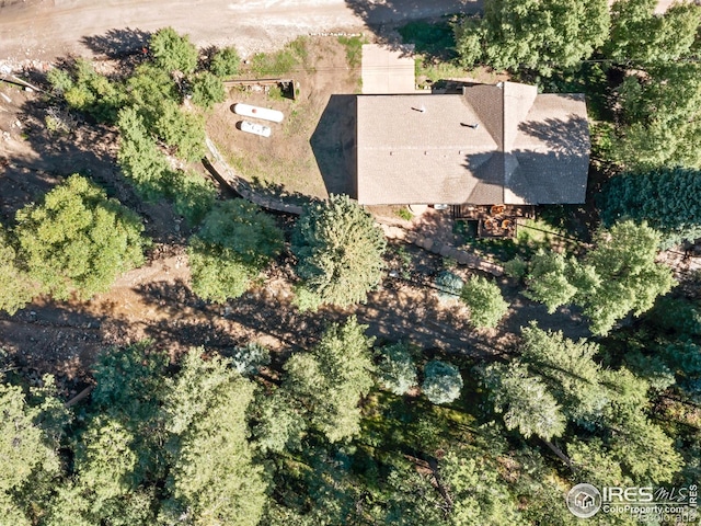 1035 Streamside Dr, Glen Haven, CO 80532 - photo 33