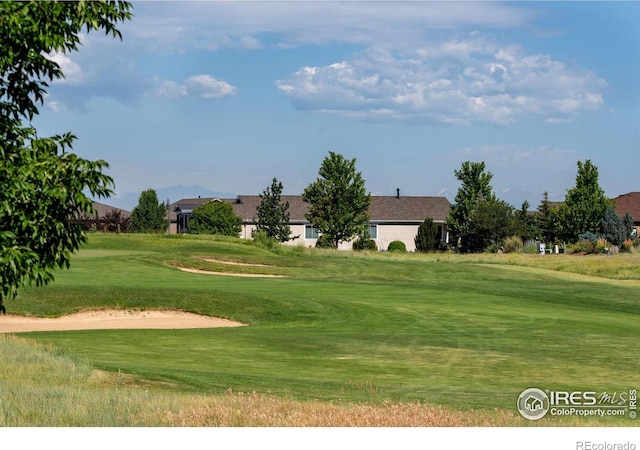 8305 E 149th Dr, Thornton, CO 80602 - view of home's community with golf course view and a lawn