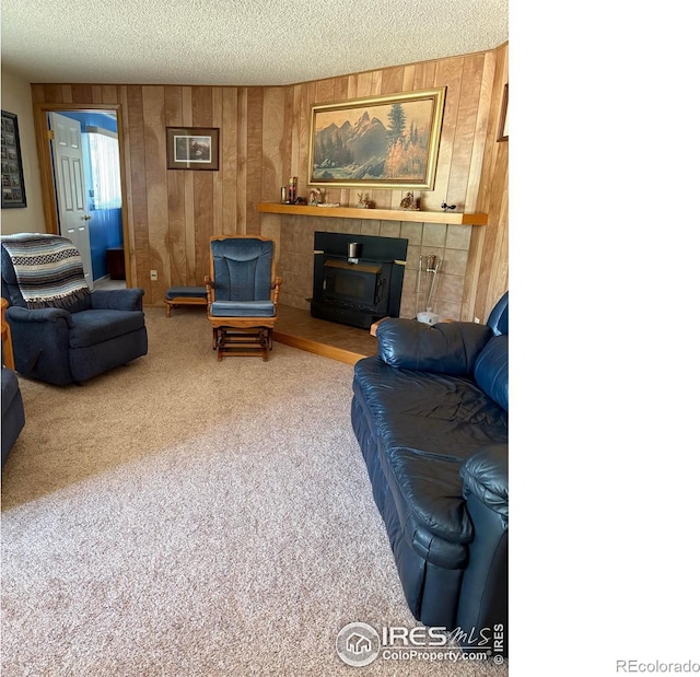13600 Elmore Rd, Longmont, CO 80504 - living area featuring wooden walls, carpet, and a textured ceiling