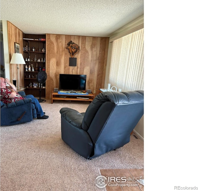 13600 Elmore Rd, Longmont, CO 80504 - carpeted living room with wooden walls and a textured ceiling