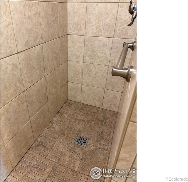 13600 Elmore Rd, Longmont, CO 80504 - full bath featuring a tile shower