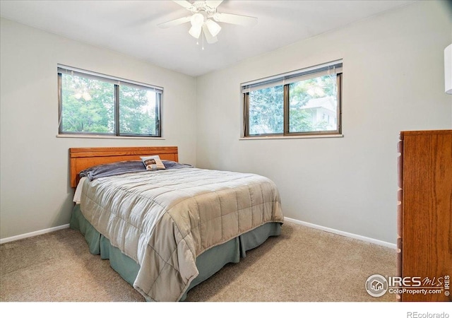 1001 Strachan Dr Unit 1A, Fort Collins, CO 80525 - photo 15