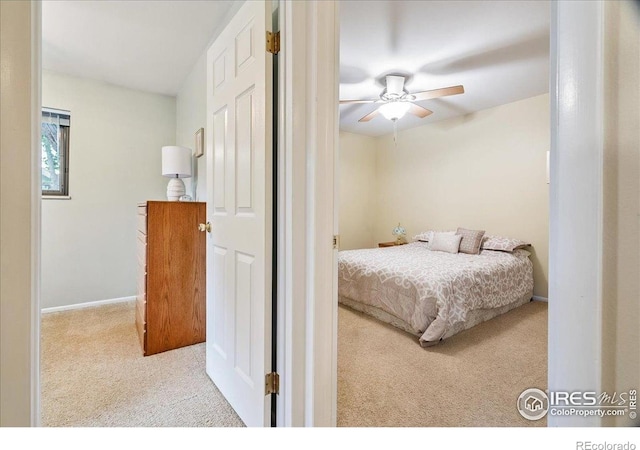 1001 Strachan Dr Unit 1A, Fort Collins, CO 80525 - photo 19