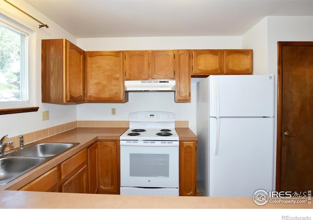 2802 Clydesdale Ct, Fort Collins, CO 80526 - photo 4
