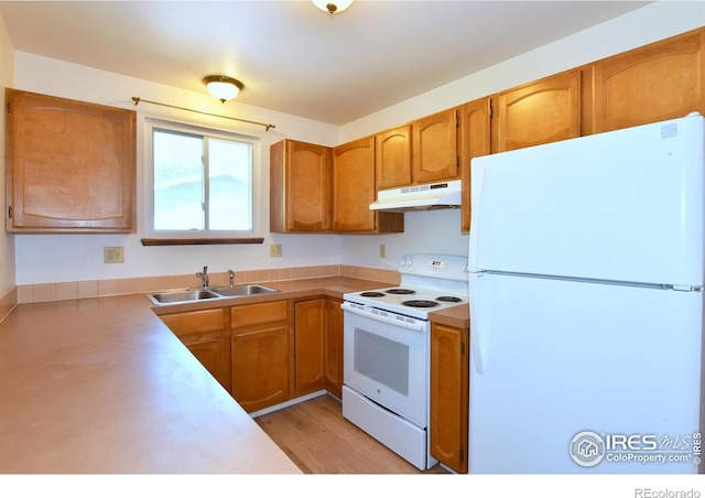 2802 Clydesdale Ct, Fort Collins, CO 80526 - photo 8