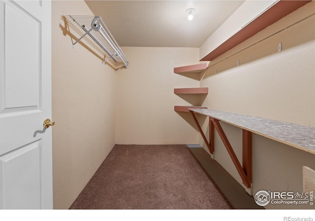 1530 S Haymaker Dr, Milliken, CO 80543 - photo 31