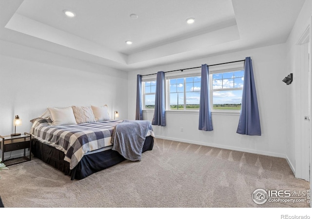 10932 Xanadu St, Commerce City, CO 80022 - photo 14