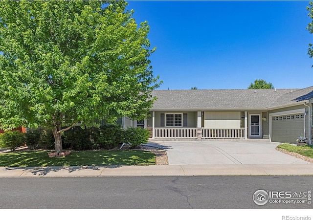 2336 Sopris Cir, Loveland, CO 80537 - photo 5