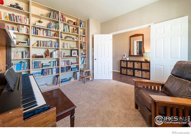 1773 Nightfall Dr, Windsor, CO 80550 - living area with carpet floors