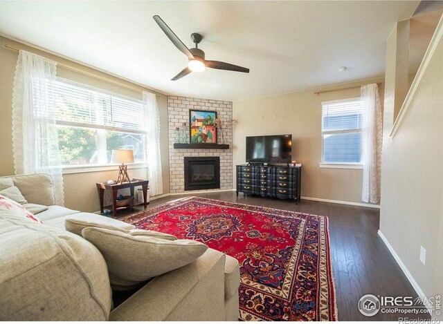 1773 Nightfall Dr, Windsor, CO 80550 - living room with a fireplace, hardwood / wood-style flooring, and a ceiling fan