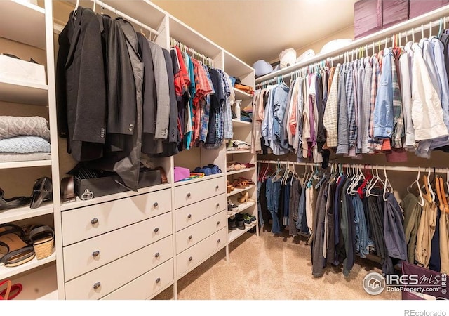 1773 Nightfall Dr, Windsor, CO 80550 - spacious closet featuring carpet flooring