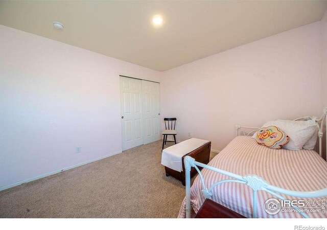 1773 Nightfall Dr, Windsor, CO 80550 - carpeted bedroom with baseboards and a closet