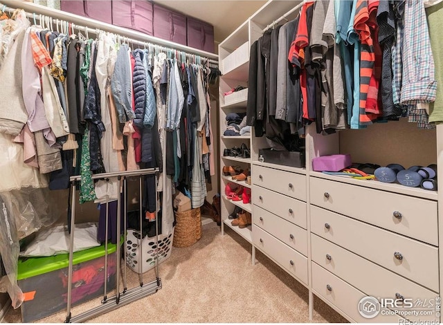 1773 Nightfall Dr, Windsor, CO 80550 - spacious closet with carpet flooring