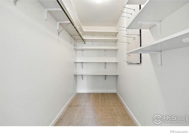 600 Manhattan Dr Unit B7, Boulder, CO 80303 - spacious closet with carpet floors