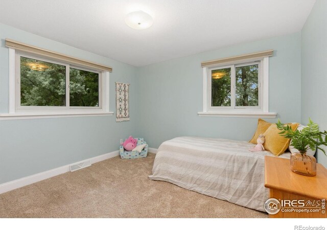 10947 Lynne Ave, Lafayette, CO 80026 - carpeted bedroom featuring multiple windows