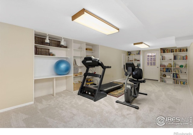 10947 Lynne Ave, Lafayette, CO 80026 - exercise room featuring carpet floors