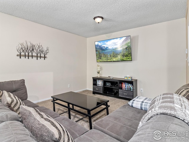2301 US Highway 34, Drake, CO 80515 - living area with carpet floors and a textured ceiling