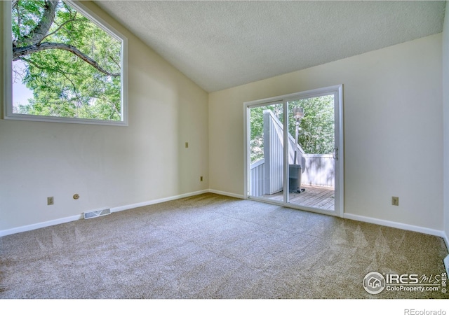 1925 28th Ave Unit 30, Greeley, CO 80634 - carpeted empty room featuring a textured ceiling and lofted ceiling
