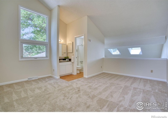 1925 28th Ave Unit 30, Greeley, CO 80634 - additional living space featuring a skylight, light carpet, and lofted ceiling