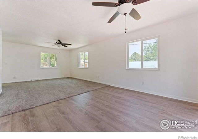 236 W Taylor Ave, La Salle, CO 80645 - photo 3