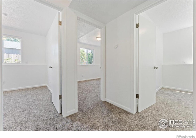 236 W Taylor Ave, La Salle, CO 80645 - photo 28