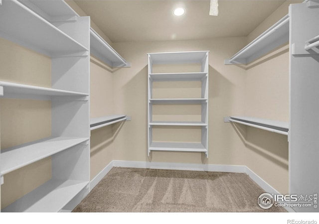 3643 Crested Owl Ct, Dacono, CO 80514 - spacious closet featuring carpet