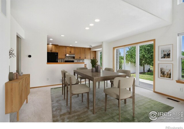 1426 Reeves Dr, Fort Collins, CO 80526 - photo 7