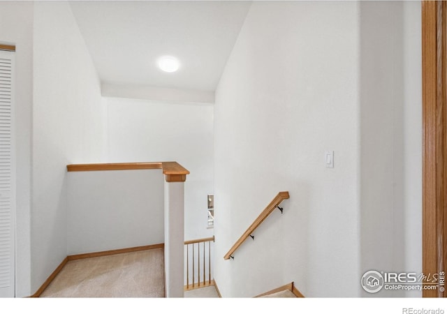 1426 Reeves Dr, Fort Collins, CO 80526 - photo 13