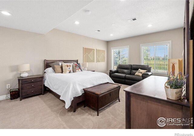 2000 Bayfront Dr, Windsor, CO 80550 - photo 33