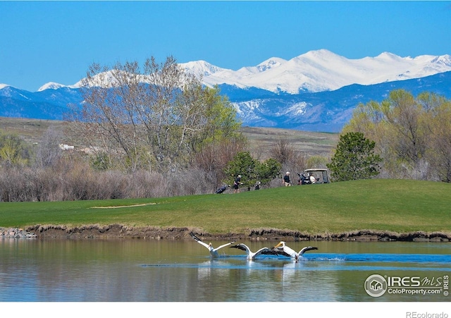 2000 Bayfront Dr, Windsor, CO 80550 - photo 38