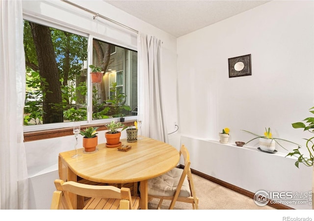 3000 Broadway Street 10 & 11, Boulder, CO 80304 - photo 19