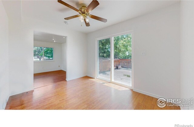 7702 Allott Ave, Fort Collins, CO 80525