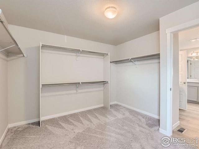 13 Chipeta Way, Lochbuie, CO 80603 - walk in closet featuring light carpet