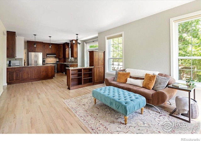 691 Tamarisk Ct, Louisville, CO 80027 - living room with light wood-style floors