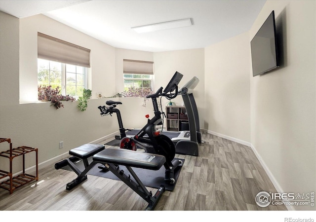 691 Tamarisk Ct, Louisville, CO 80027 - workout area featuring wood finished floors and baseboards