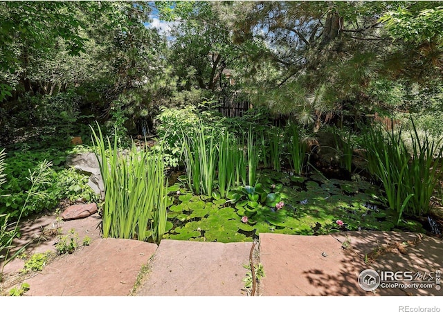 691 Tamarisk Ct, Louisville, CO 80027 - view of yard