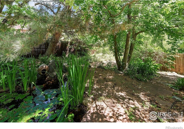 691 Tamarisk Ct, Louisville, CO 80027 - view of yard