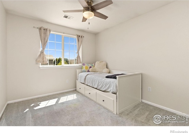 909 Glenloch Dr, Fort Collins, CO 80524 - photo 14