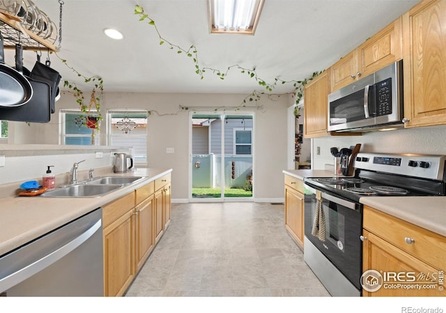 742 Lavastone Ave, Loveland, CO 80537 - photo 6