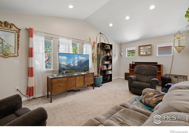 742 Lavastone Ave, Loveland, CO 80537 - photo 9