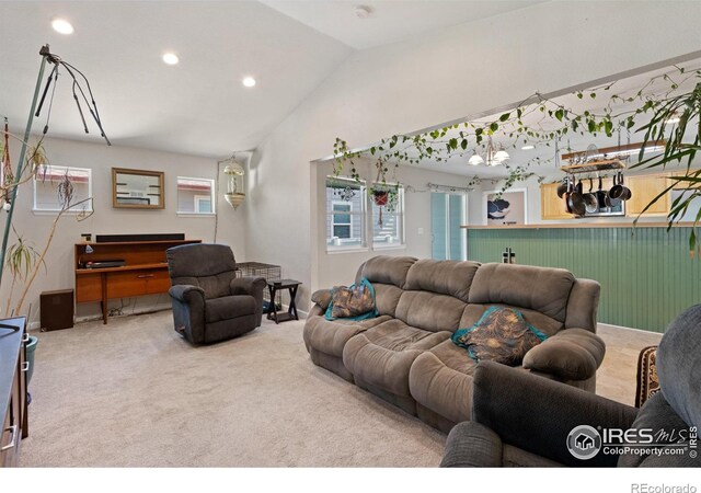 742 Lavastone Ave, Loveland, CO 80537 - photo 12